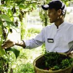 TUI Blu Nam Hoi An - Organic Garden & Cooking Class