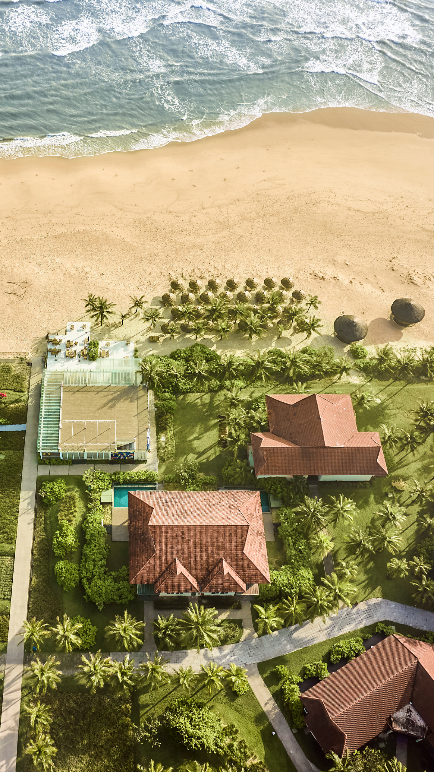 ROBINSON_NAMHOIAN